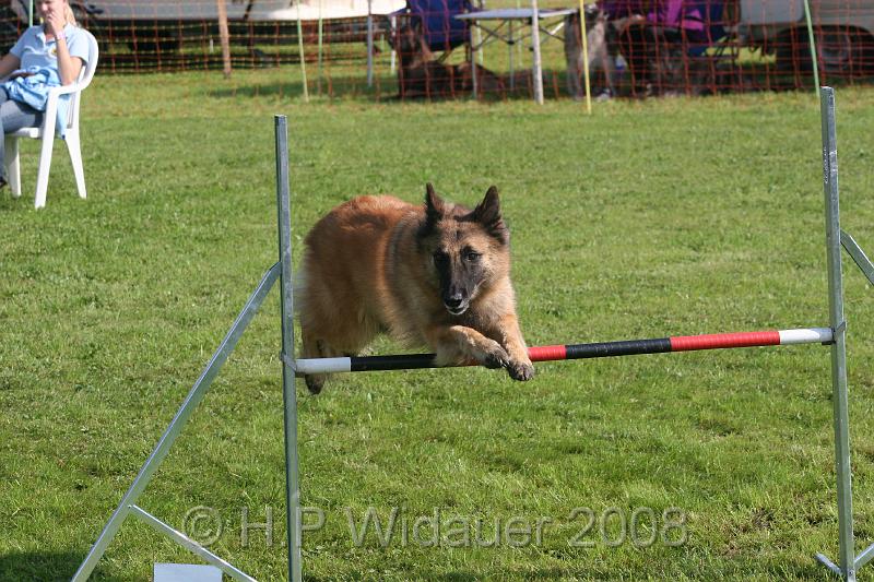 jubil.lusten. 102.jpg